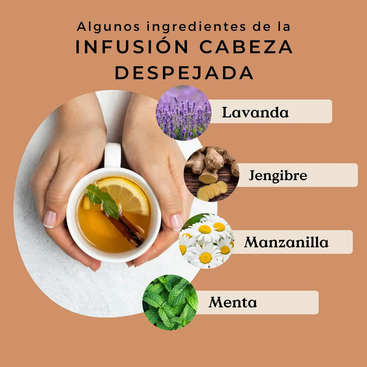 Infusión Cabeza Despejada Ecológica 100g