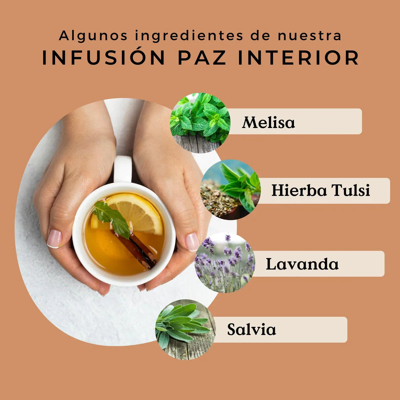 Infusión Paz Interior Ecológica 100g