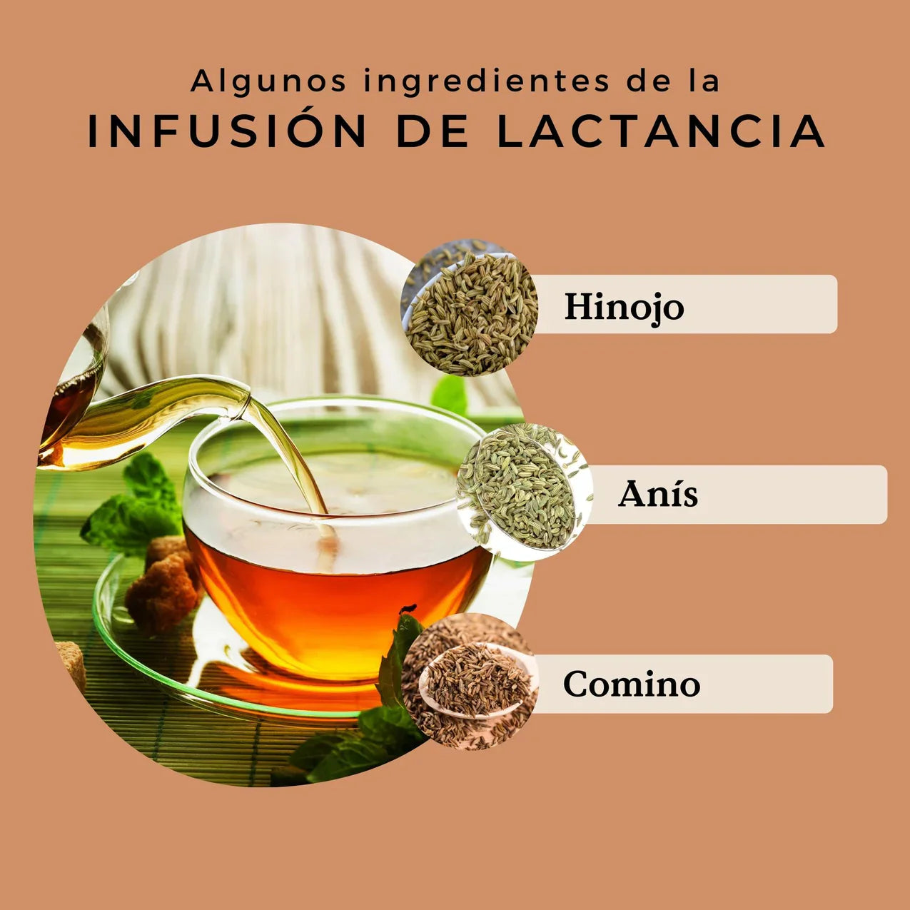 Infusión de Lactancia Ecológica 100g