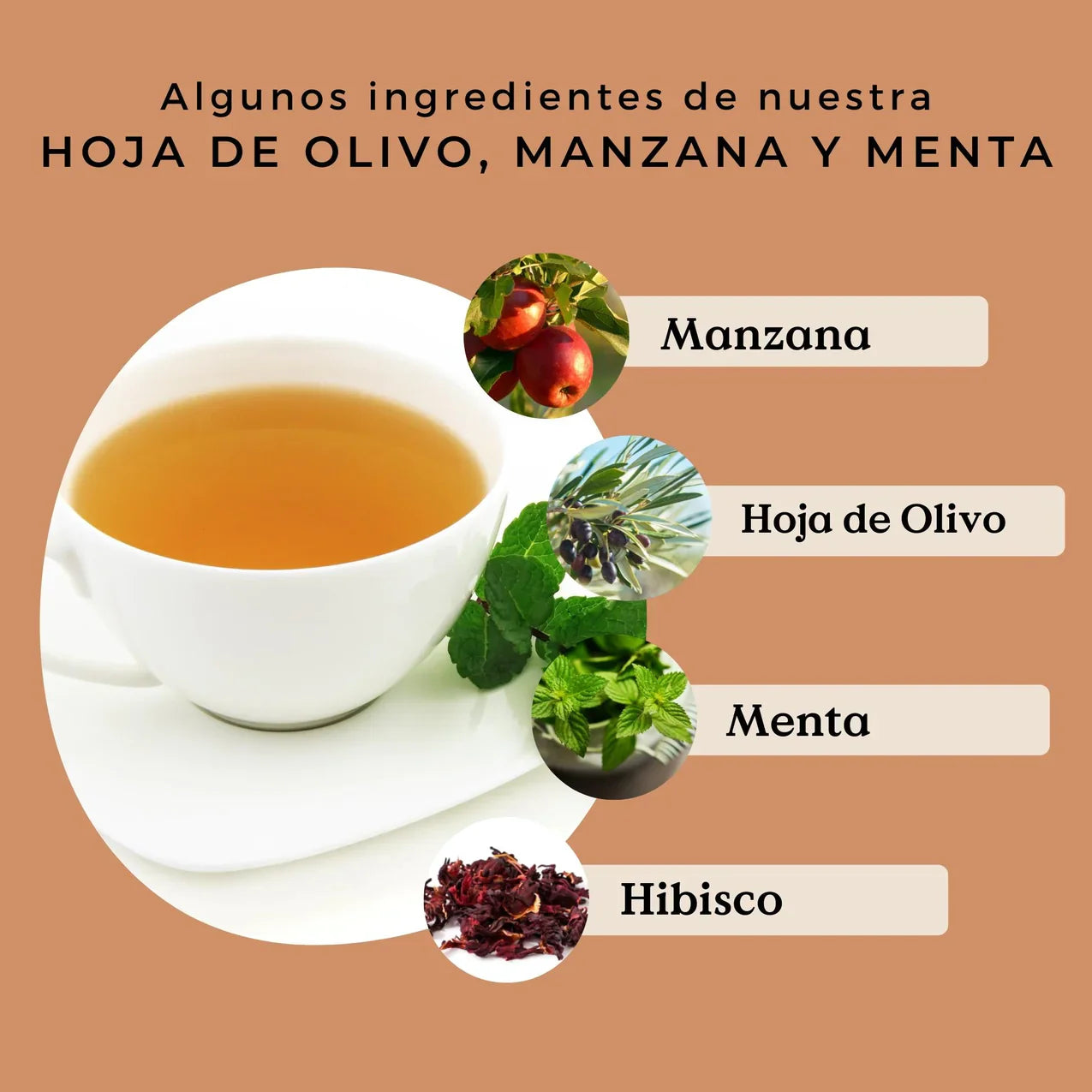 Infusión de Hoja de Olivo, Manzana y Menta Ecológica 100g