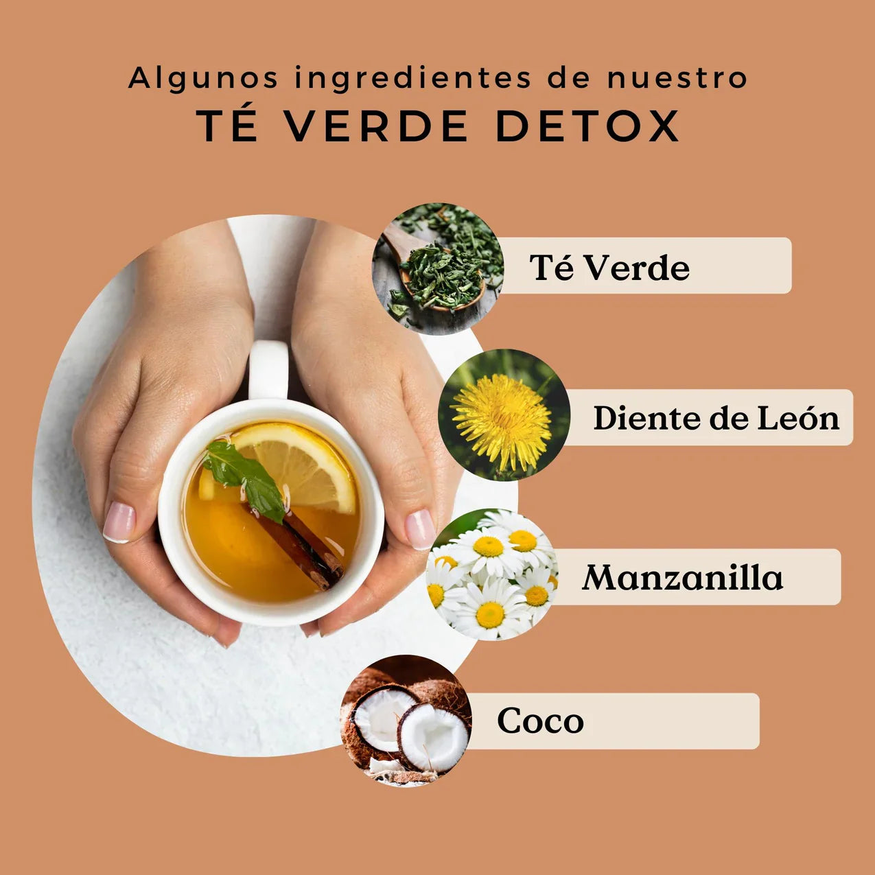 Té Verde Detox Ecológico 100g