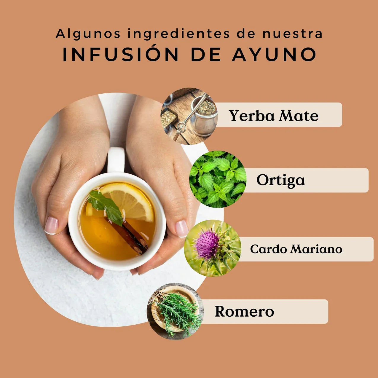 Infusión de Ayuno Ecológica 100g
