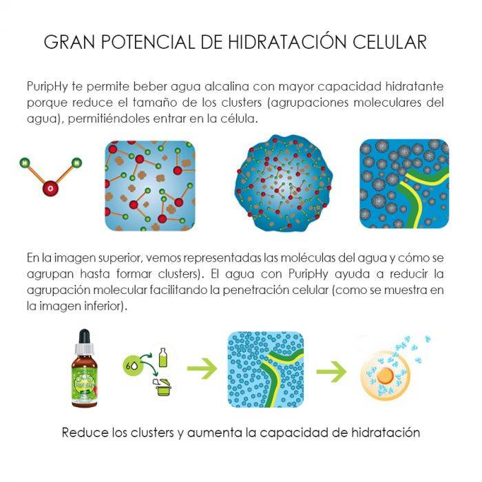 PurifHy 30ml